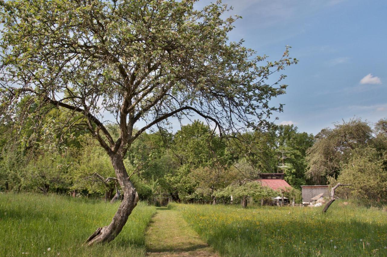 Homestay Na Samote U Vcelina Lancov